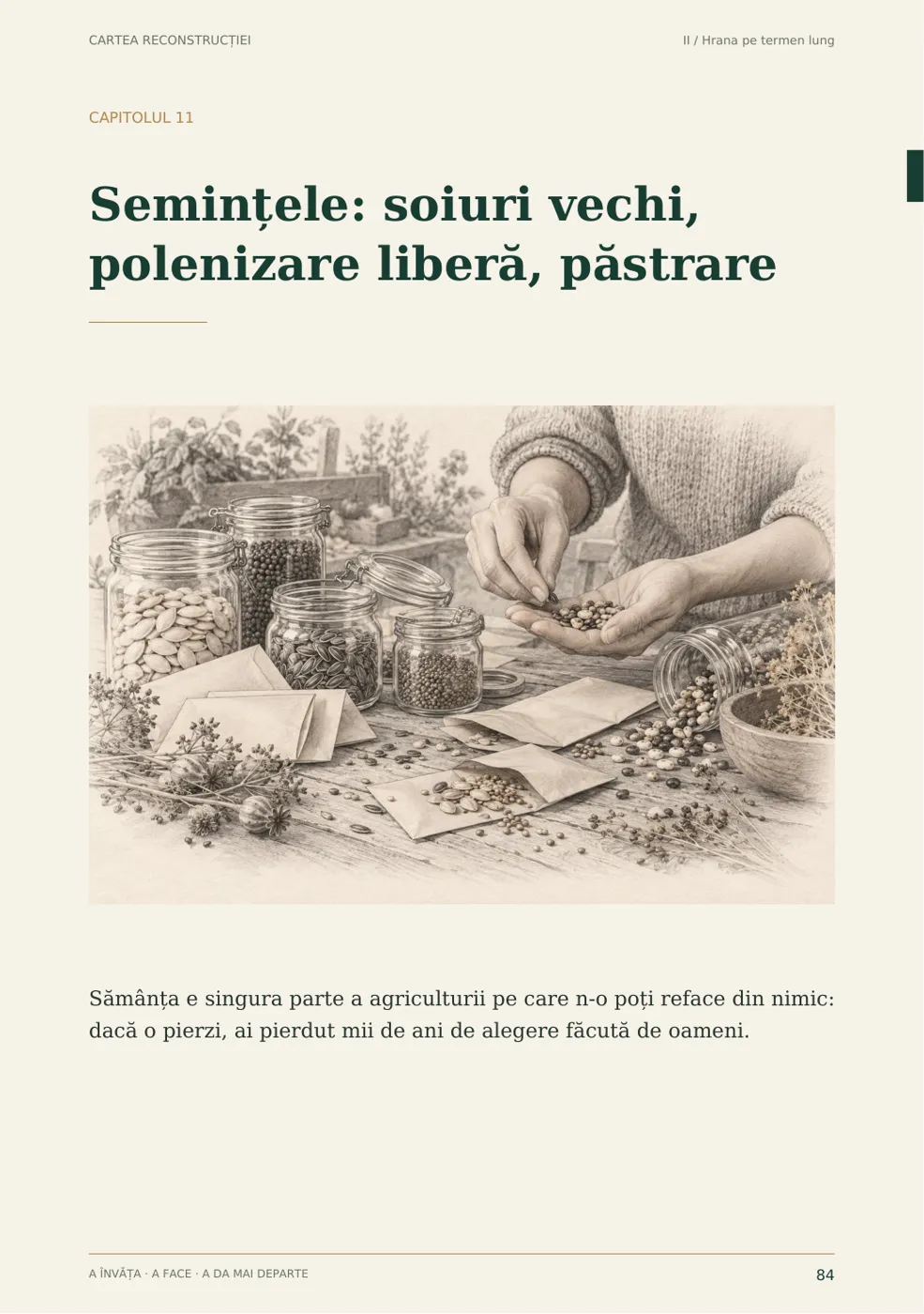 Pagina 84 din Cartea reconstrucției